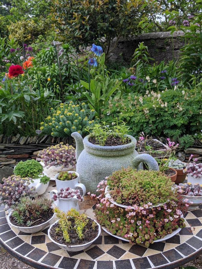 Drumfearne Guesthouse & Tearoom Carradale Exterior photo
